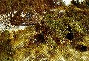 bruno liljefors landskap med orrar, tidig var France oil painting artist
